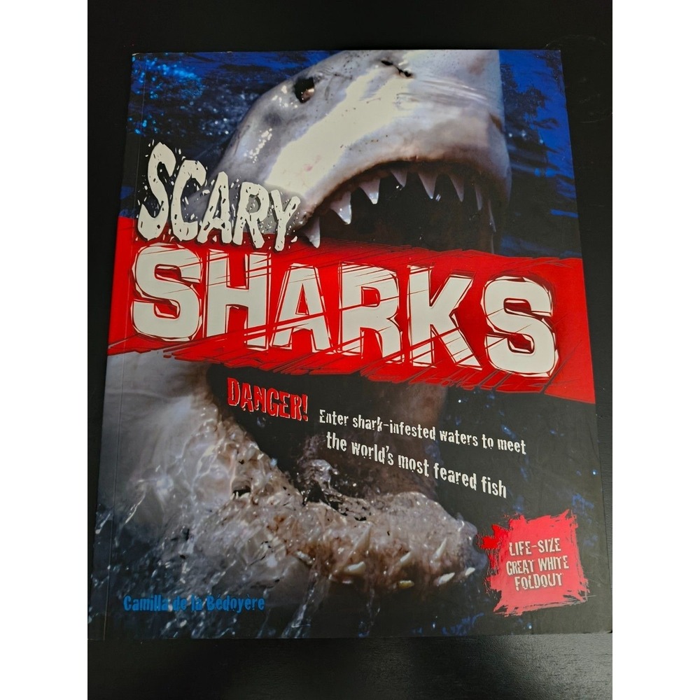 Scary Sharks Scholastic by Camillla Bedoyere Paperback Like New
